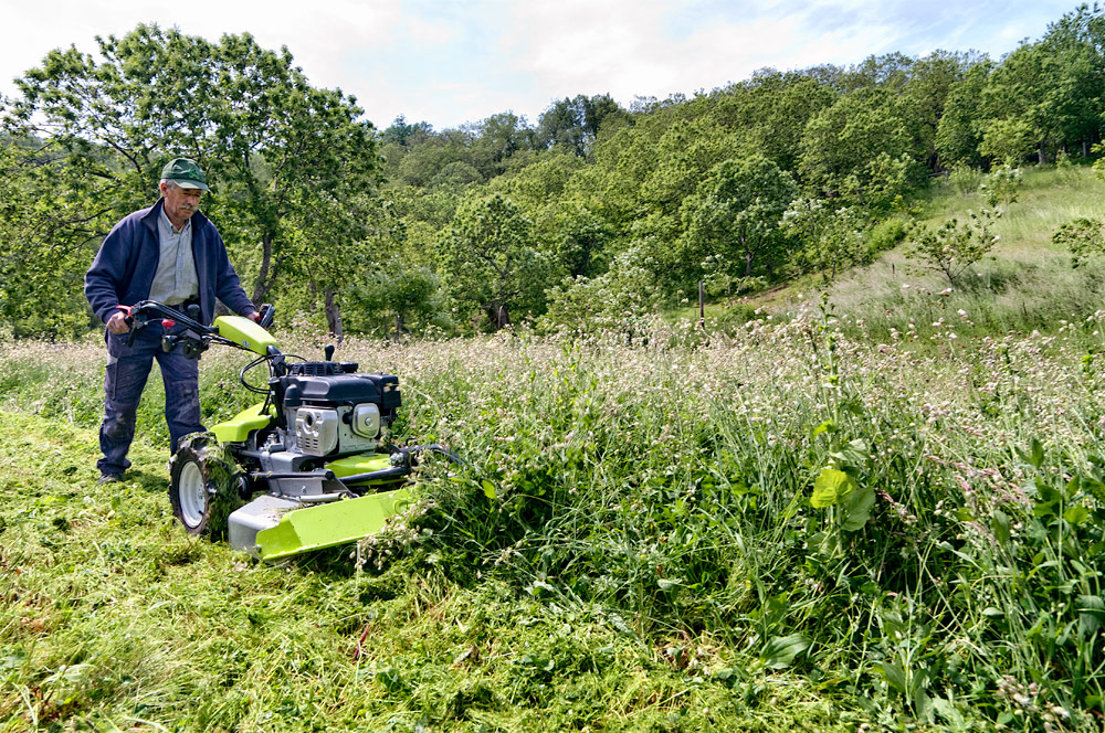 TONDEUSE DEBROUSSAILLEUSE A MAIN GRILLO CL 75 AVEC BONHOMME